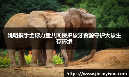 姚明携手全球力量共同保护象牙资源守护大象生存环境